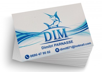 Carte de visite Dim