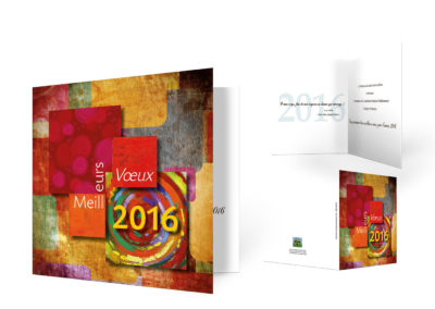 CDV 2016 Centre Hospitalier